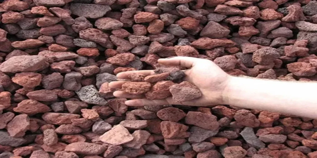 بررسی قیمت پوکه بادامی